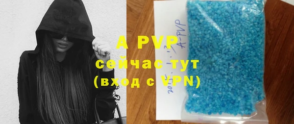 стафф Алексин