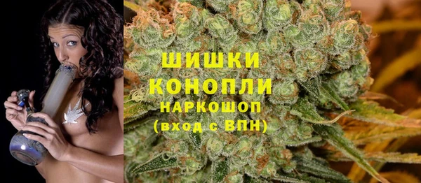шишки Алексеевка